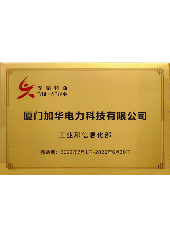 國家級(jí)“專精特新”小巨人
